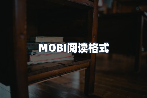 MOBI阅读格式